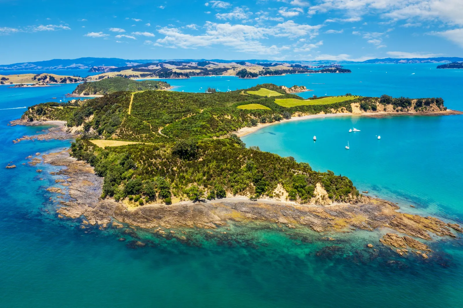 Auckland