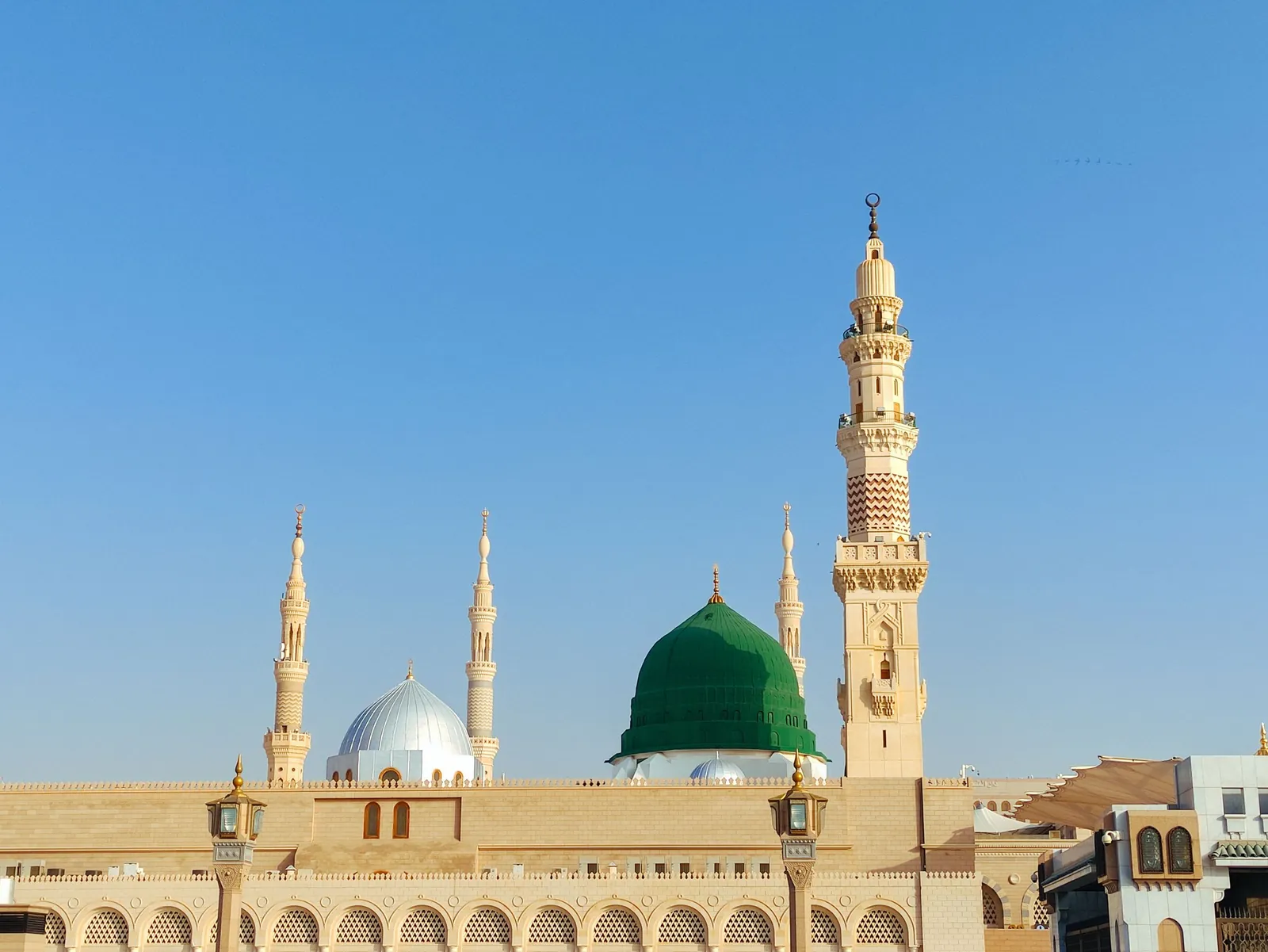 Medine